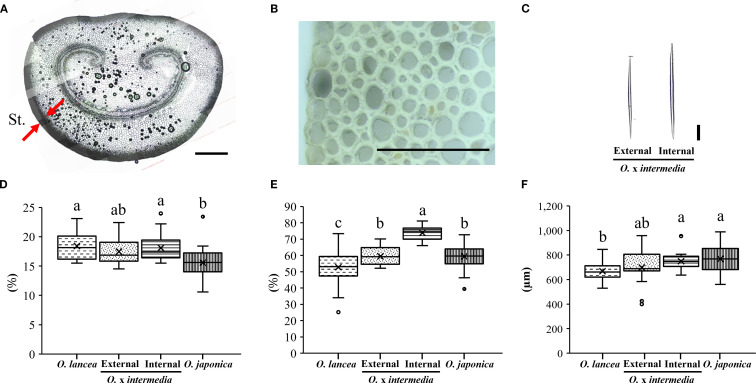 Figure 10