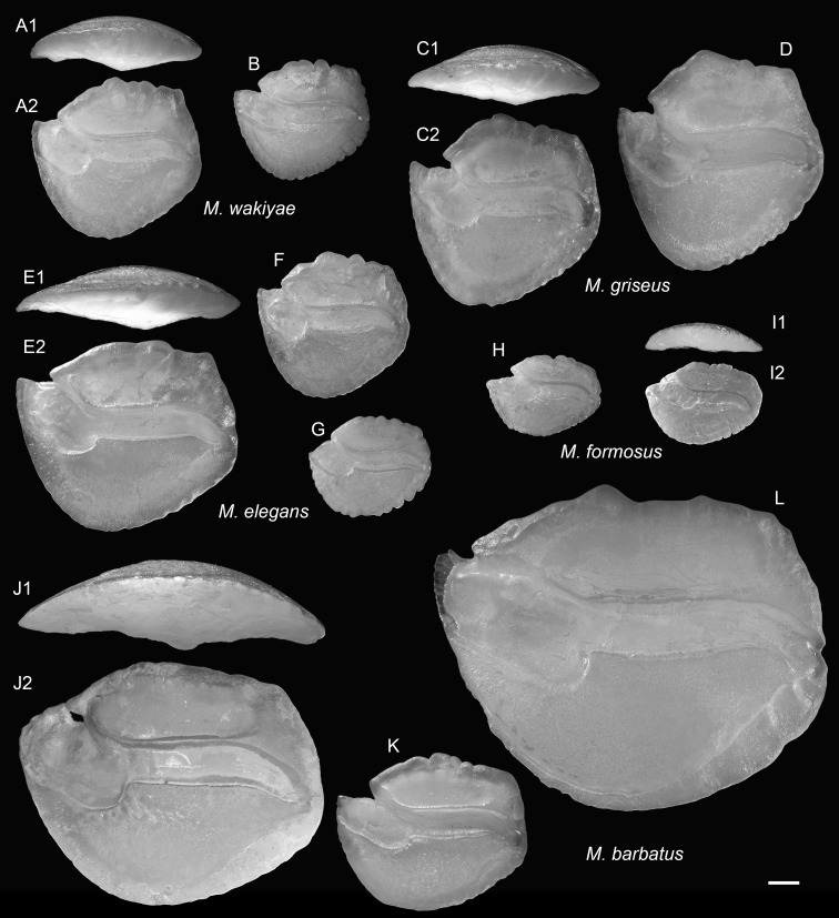 Figure 13