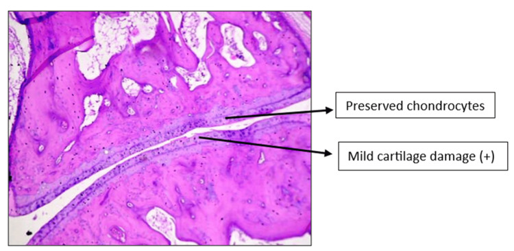 Figure 10