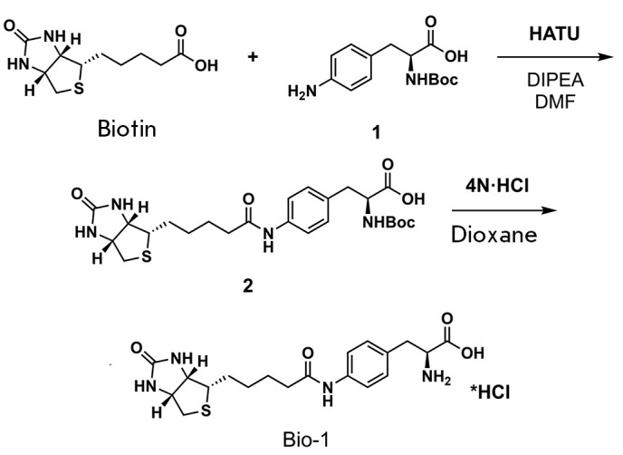 Scheme 1