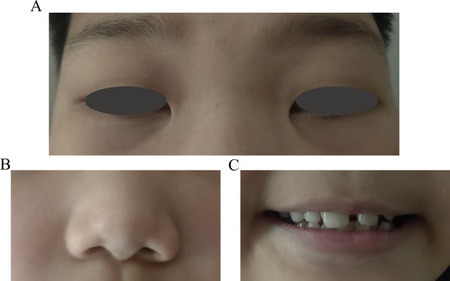 Figure 4