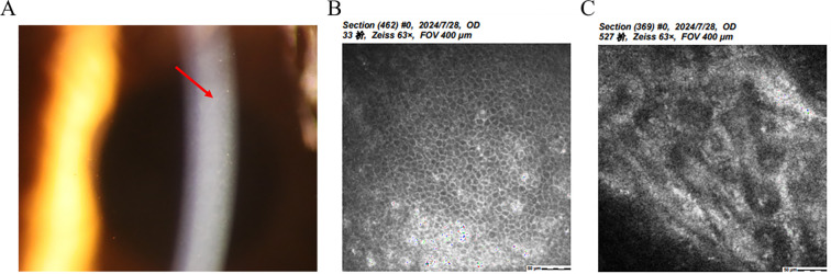 Figure 5