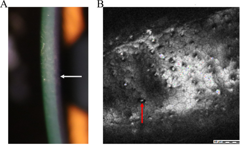 Figure 6