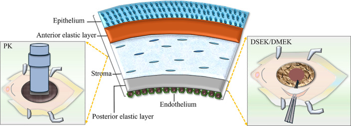 Figure 7