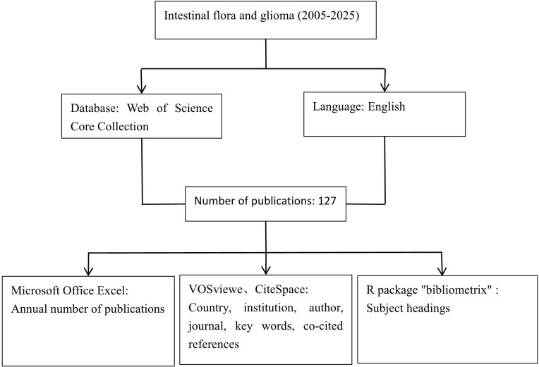 Figure 1