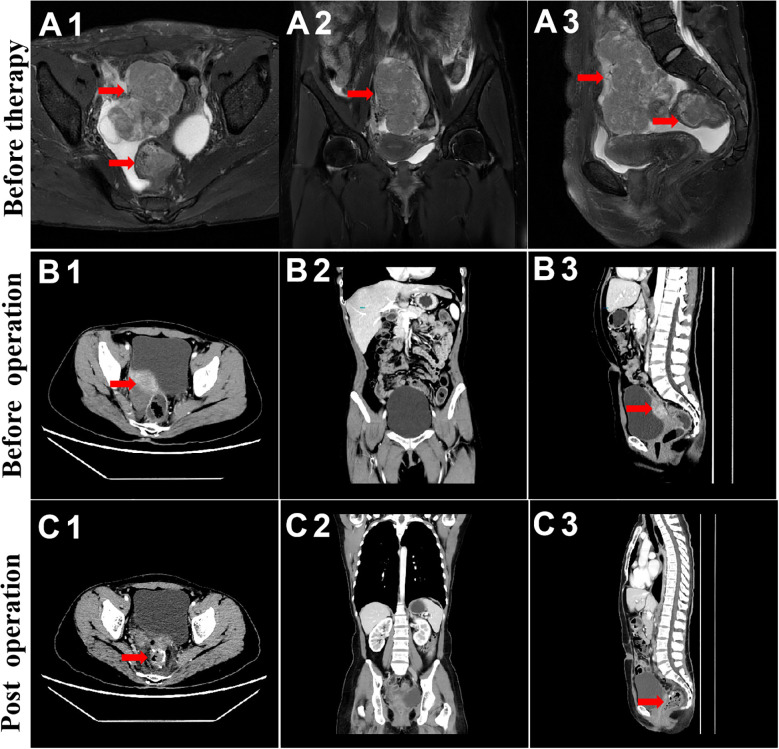 Figure 2