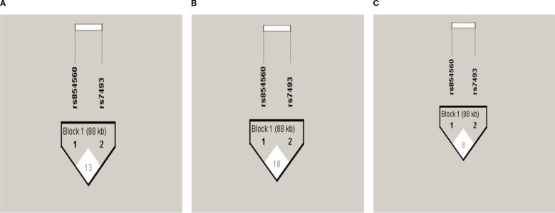 Figure 1