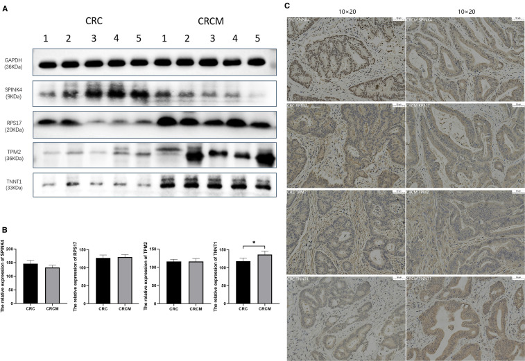Figure 4