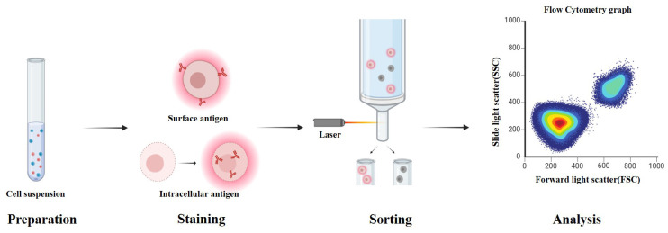Figure 3
