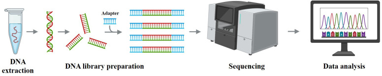 Figure 4