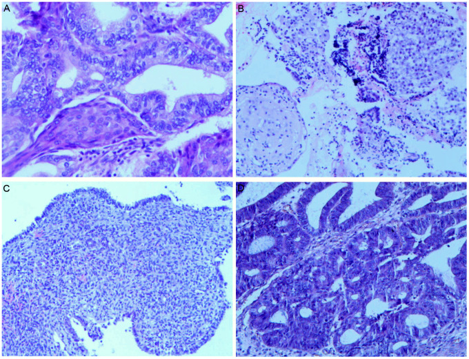 Figure 2
