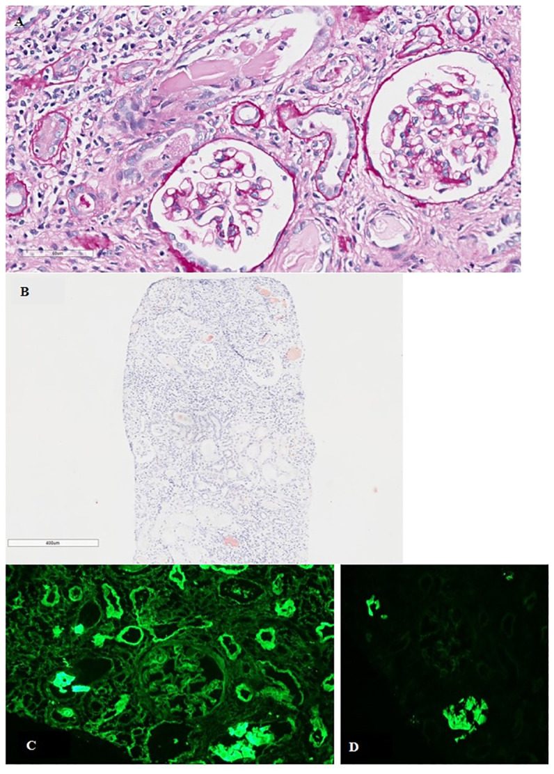 Figure 1