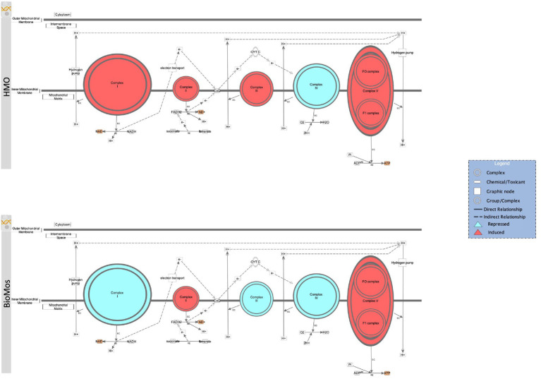 Figure 8