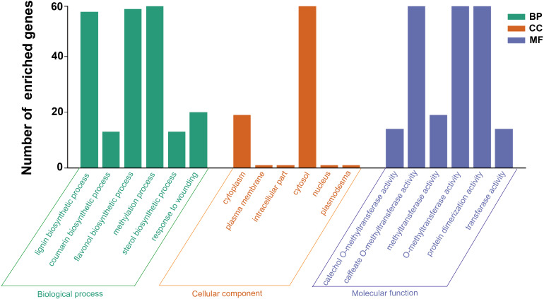 Figure 5