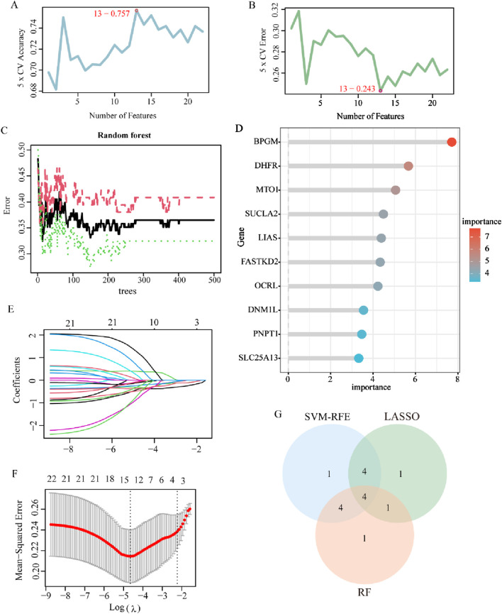 FIGURE 5