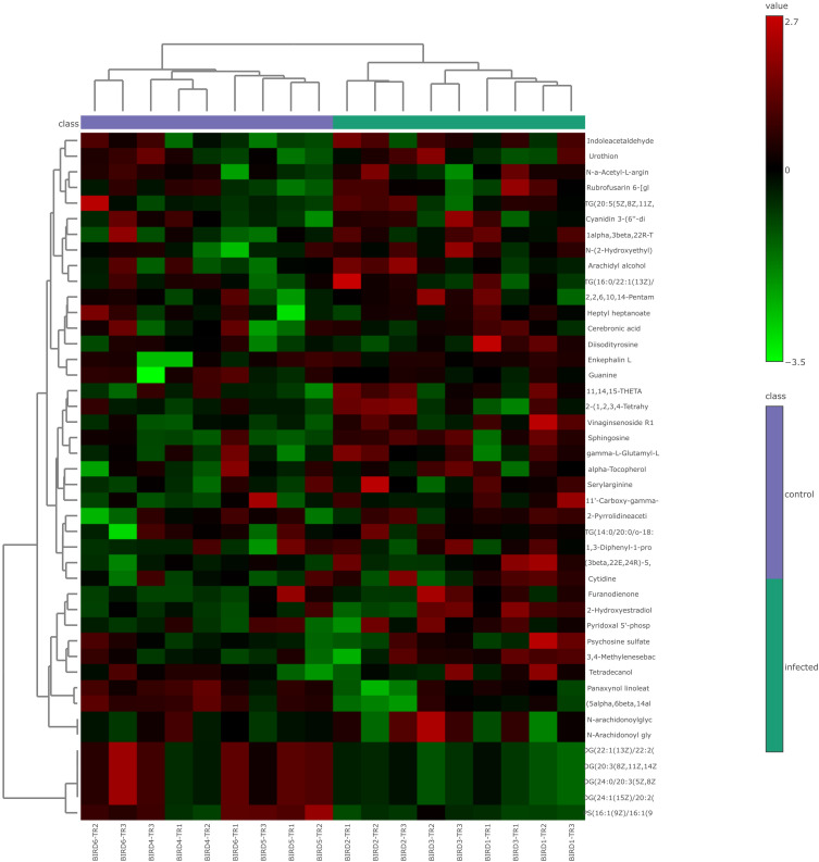 Figure 4