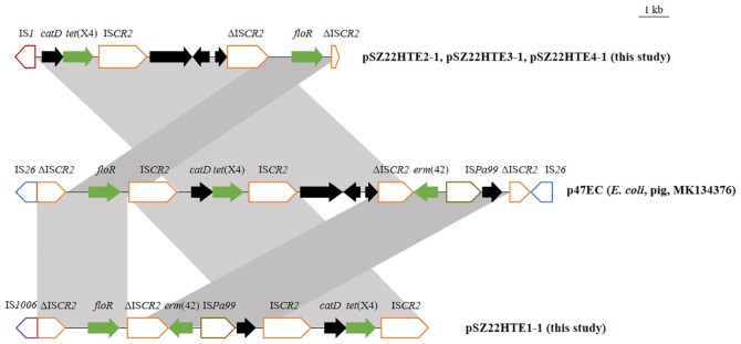 Figure 2