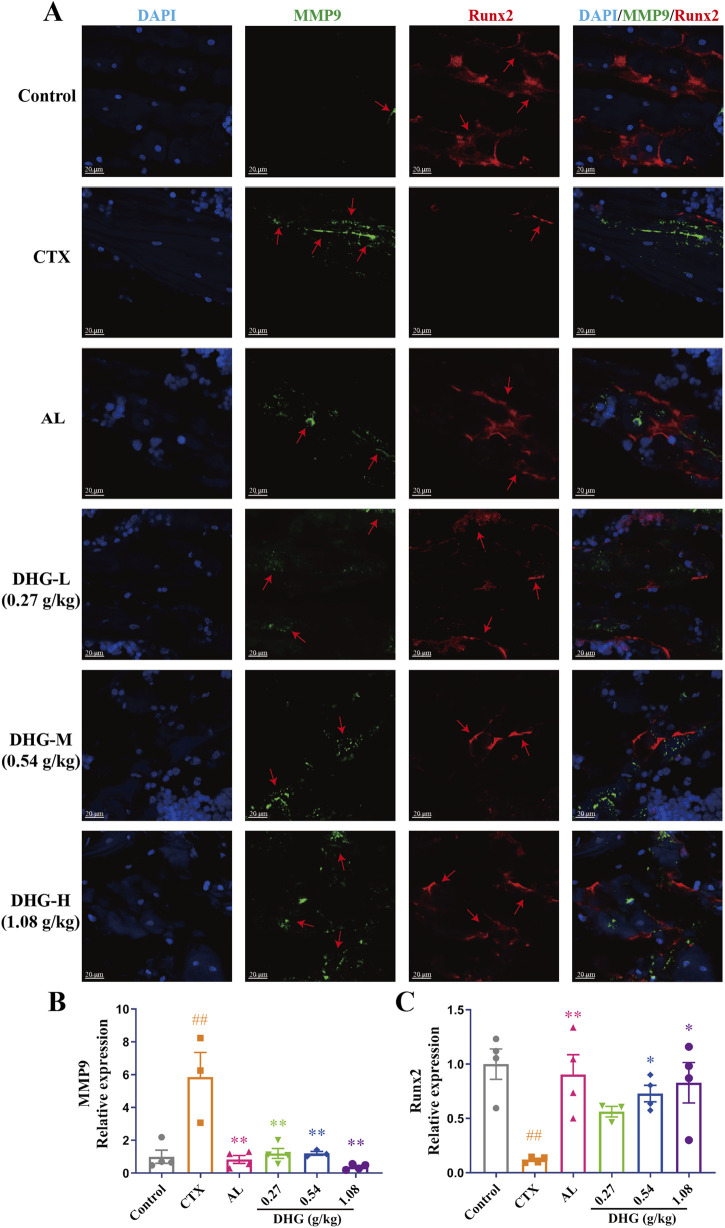 FIGURE 6