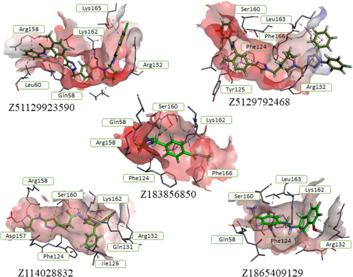 FIGURE 2