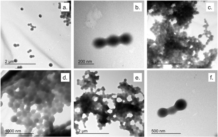 FIGURE 3