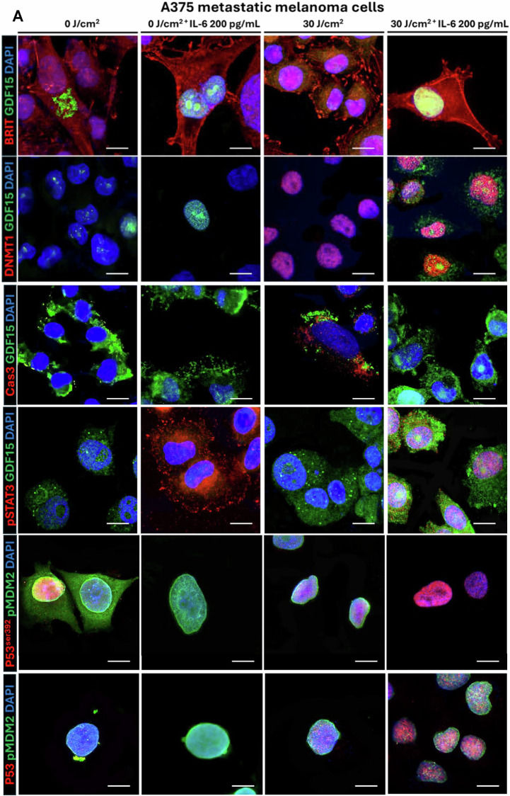 Figure 15