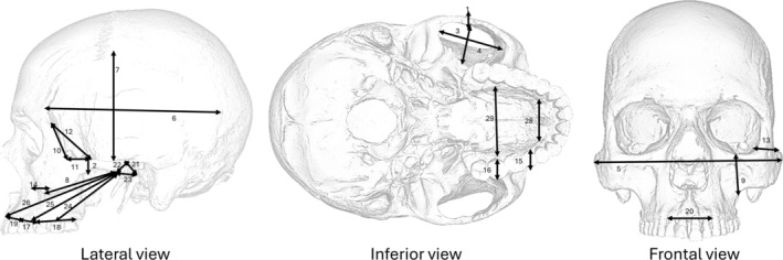 FIGURE 1