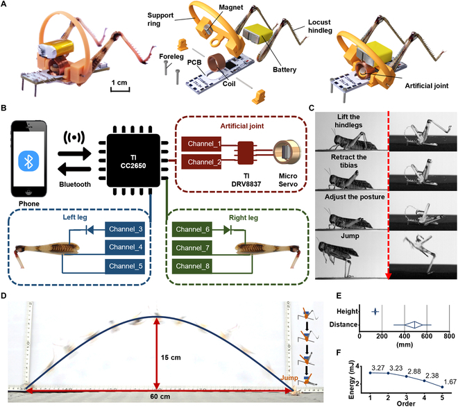 Fig. 3