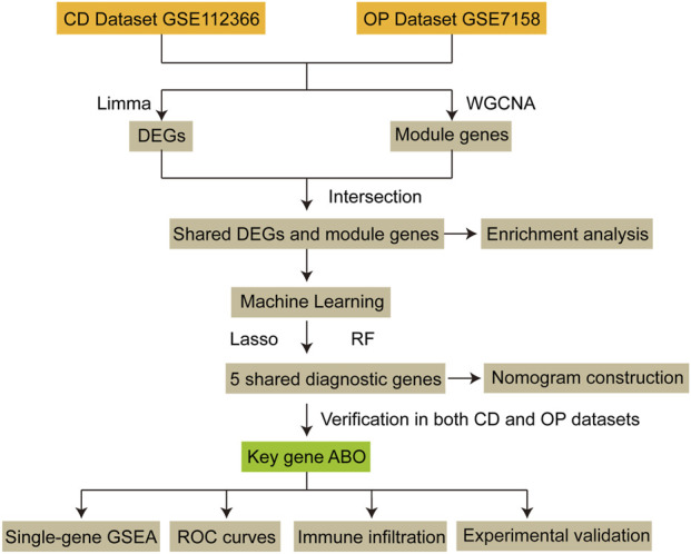 FIGURE 1