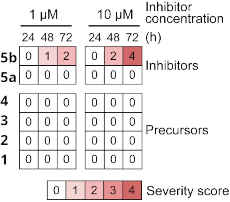 Fig. 3