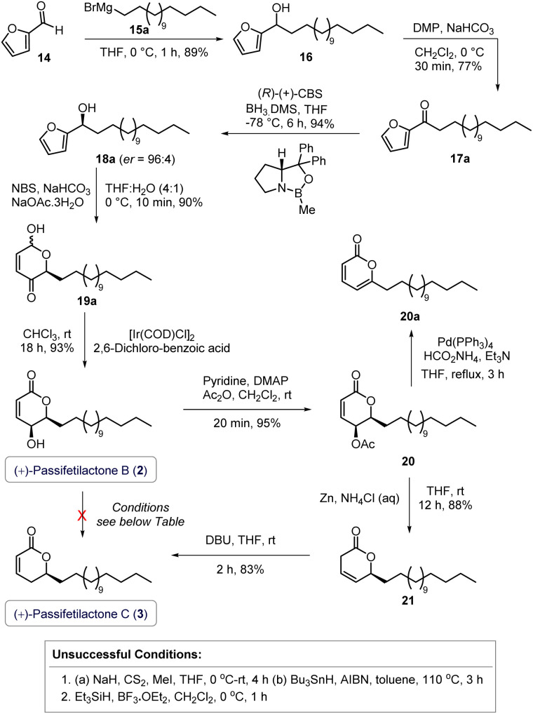 Scheme 3