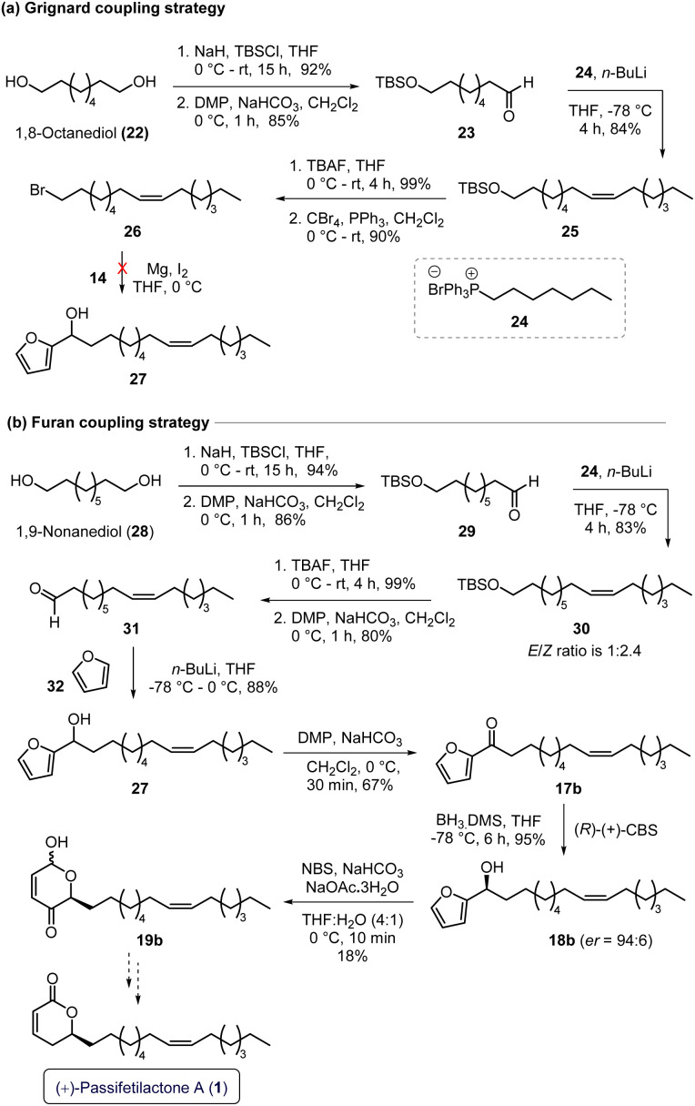 Scheme 4