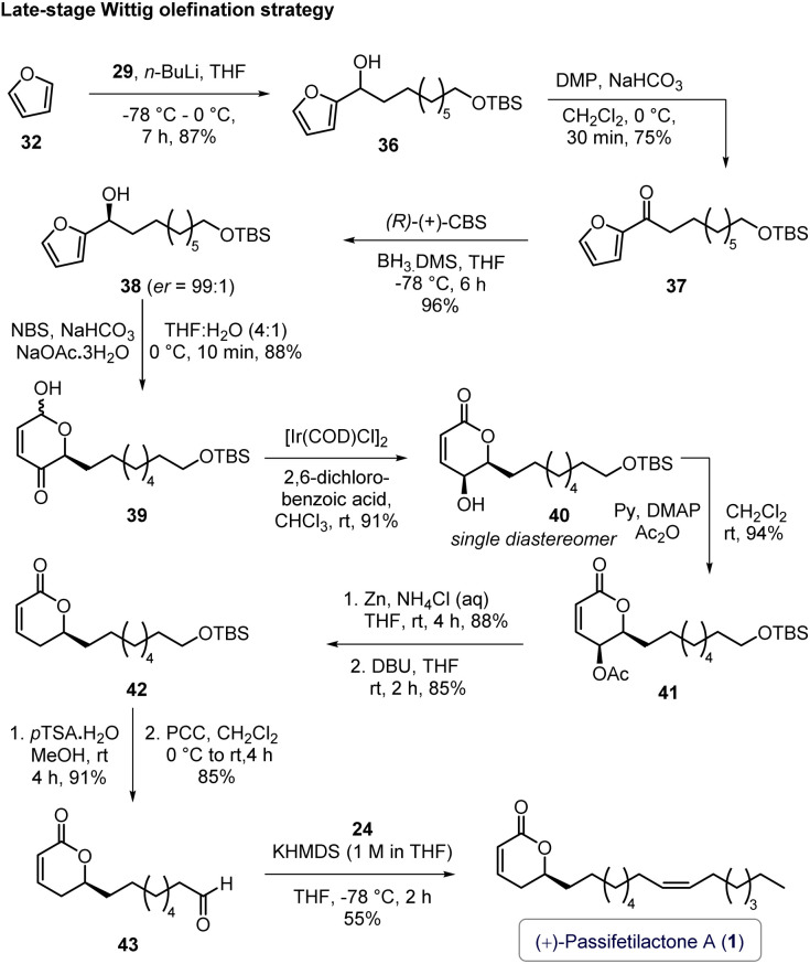 Scheme 5