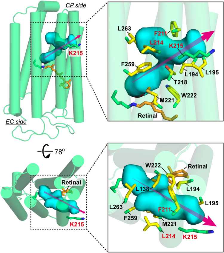Figure 2