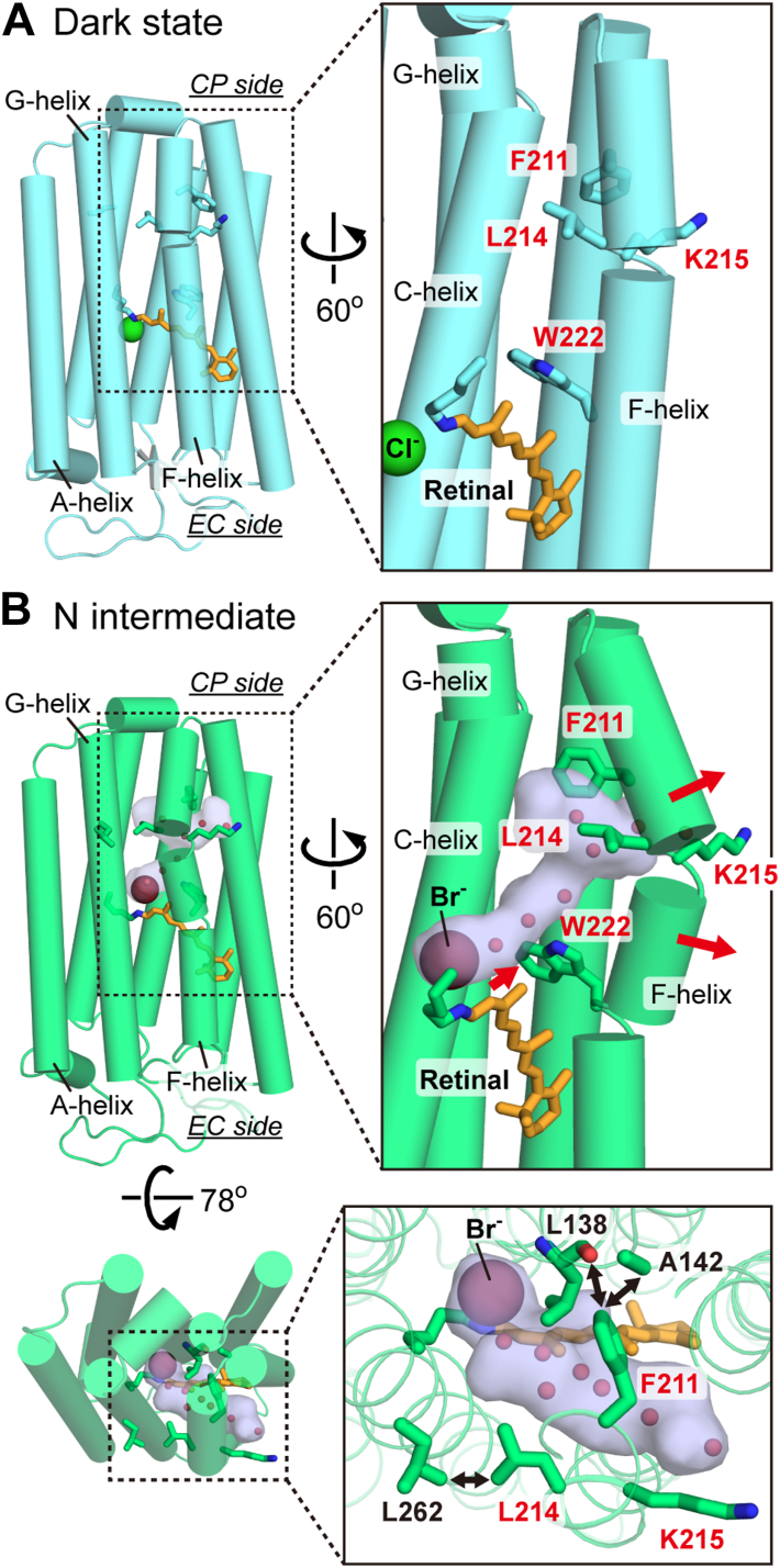 Figure 9