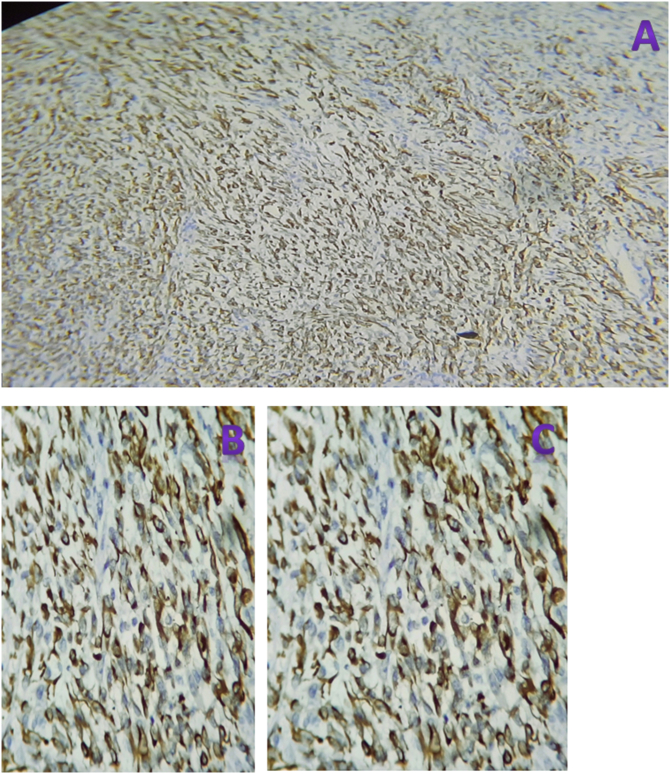 Figure 10