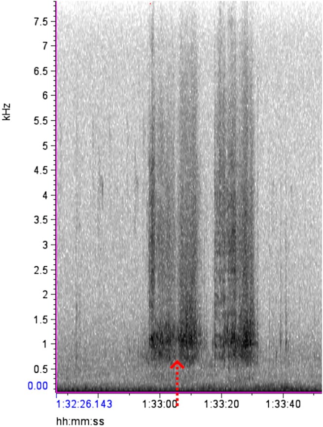 FIGURE 3