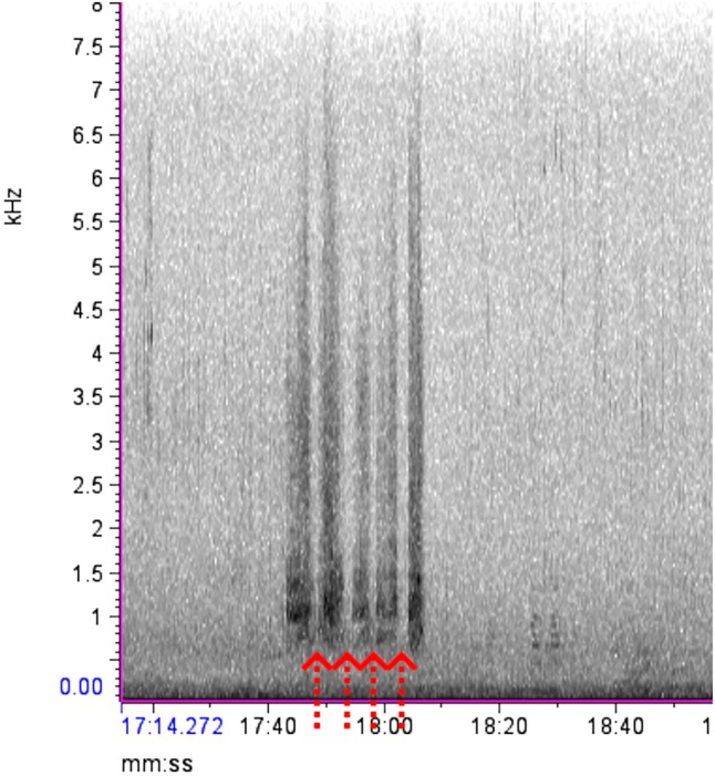 FIGURE 4