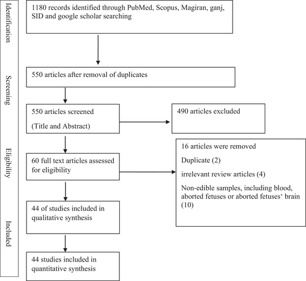 FIGURE 1
