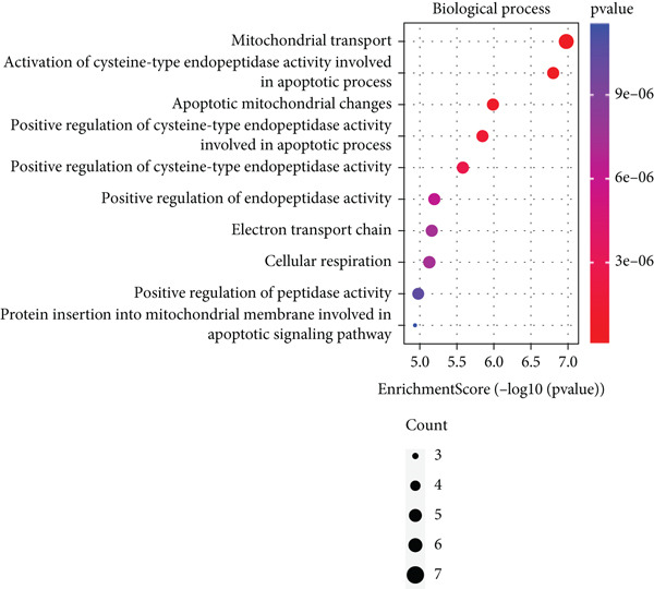Figure 13