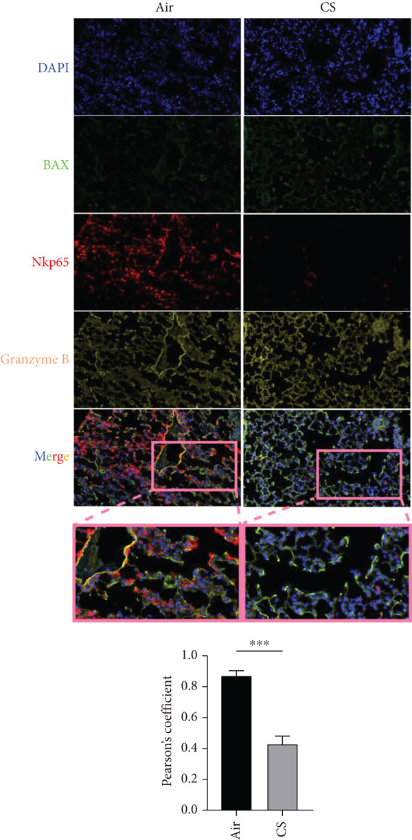 Figure 14