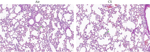 Figure 21