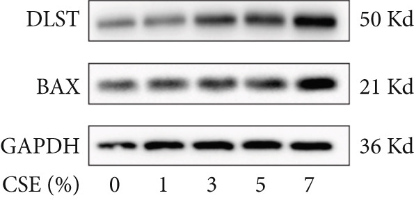 Figure 22