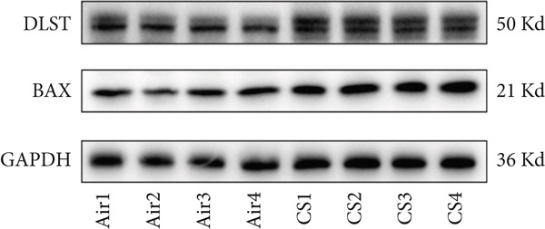 Figure 31
