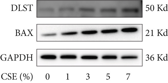 Figure 32