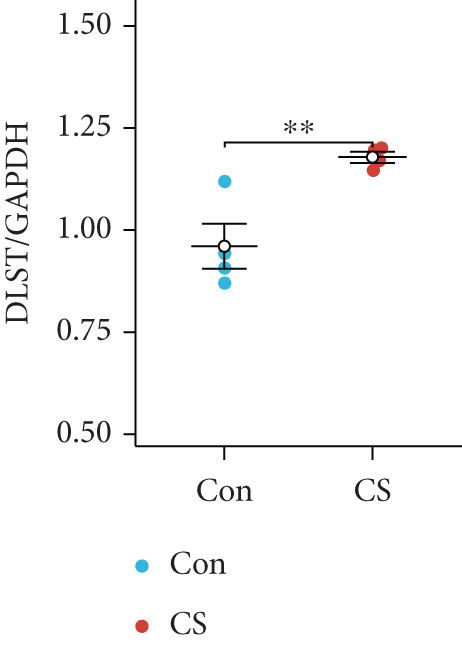 Figure 38