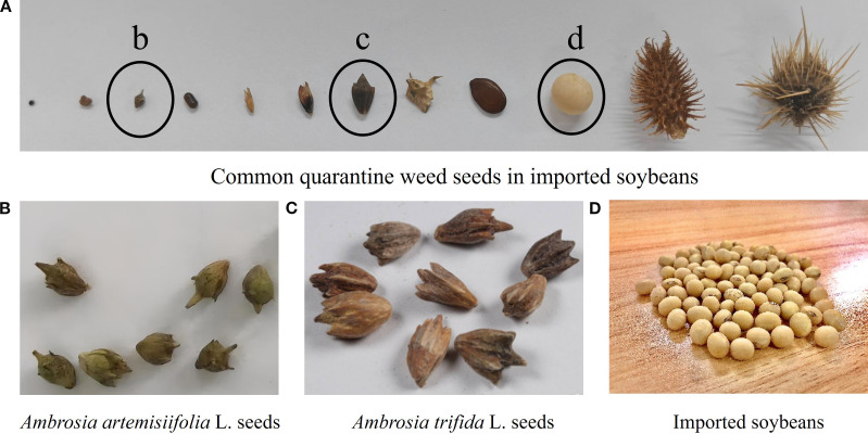 Figure 2