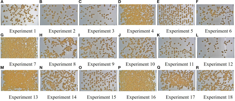 Figure 10
