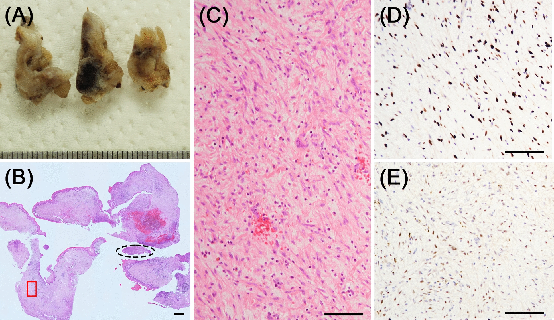 Figure 5
