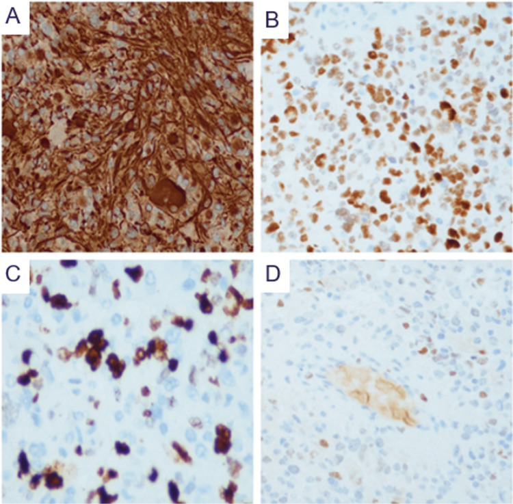 Figure 4