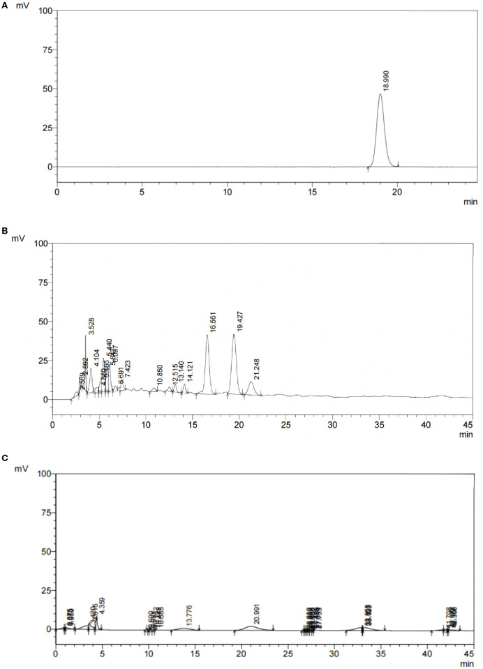Figure 1